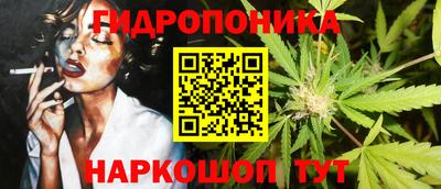 шишки Гусь-Хрустальный