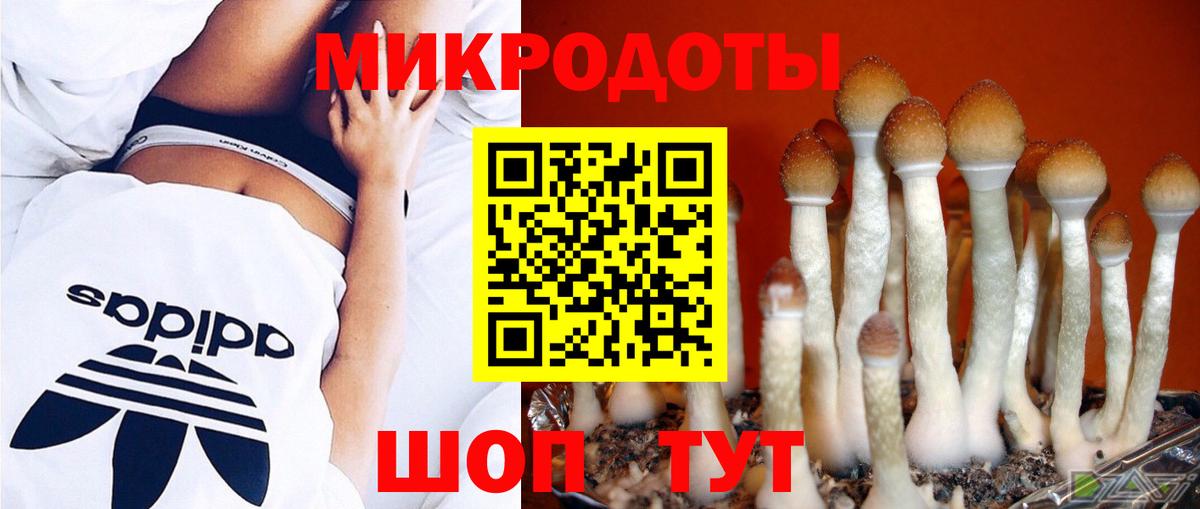 Новозыбков  Псилоцибиновые грибы MAGIC MUSHROOMS  Вход с VPN 